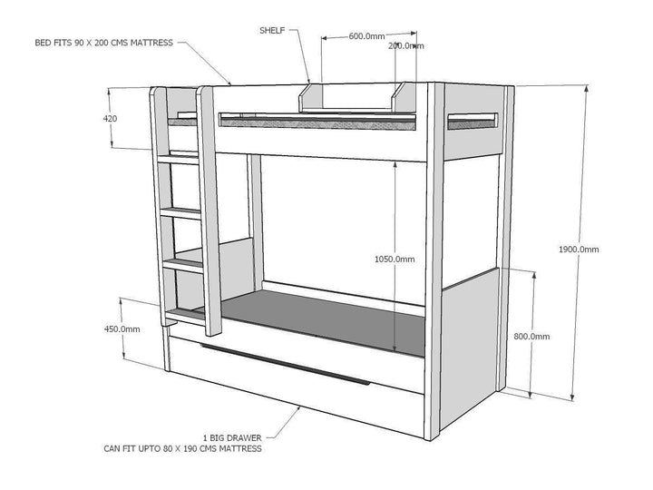 Bonsai Bunk Bed - Classic Furniture Dubai UAE